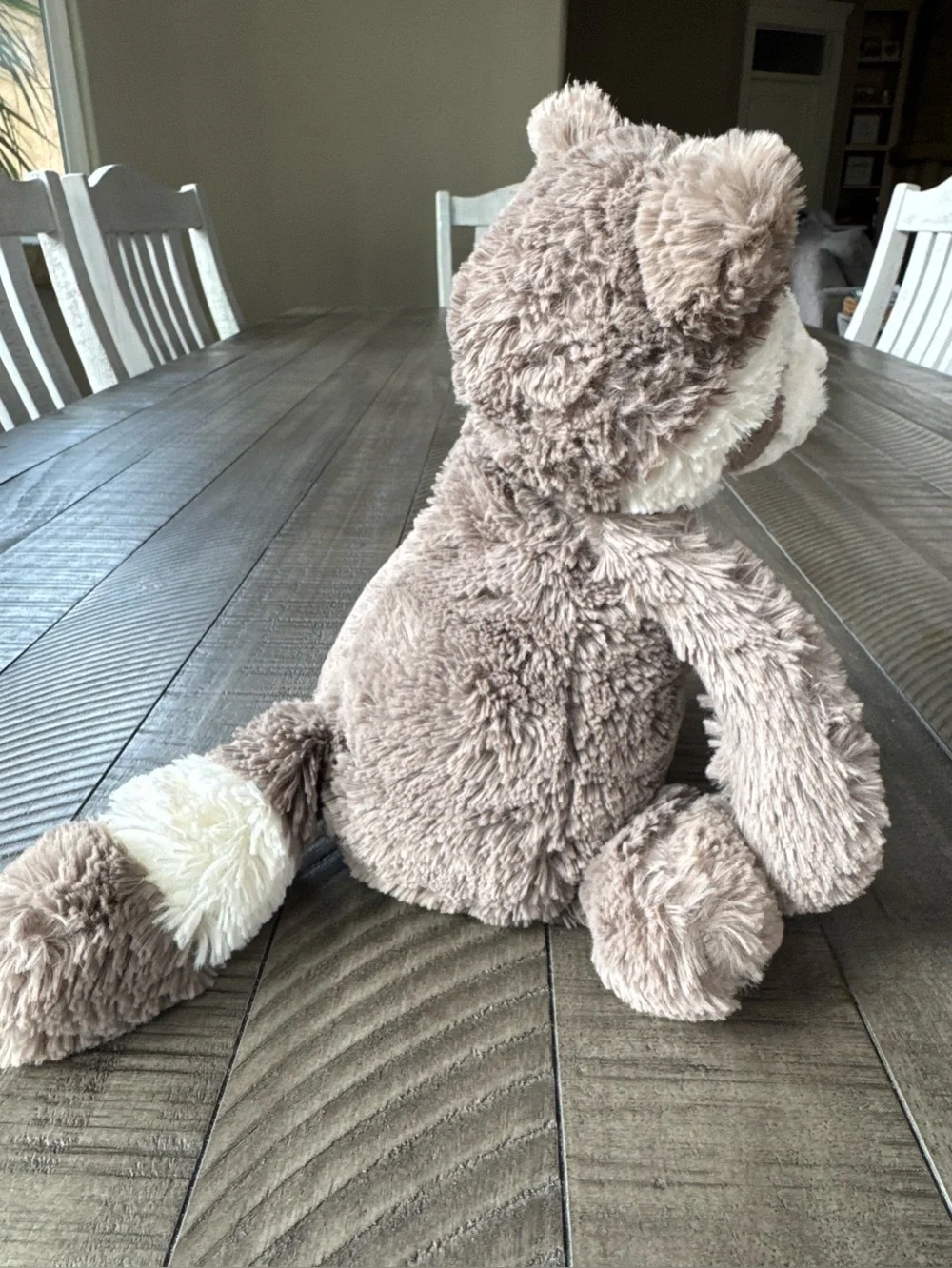 Jellycat Bashful Raccoon 12” Plush Toy